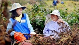 삼성, 자원봉사대축제 해외사업장으로 확대 전개
