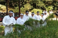 옛 임금의 벼 베기 친예례, 창덕궁에서 되살아나다