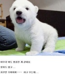 개인 줄 알고 키웠더니 백곰?…황당하지만 귀여워~