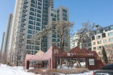 세종시 시대 출발! 첫마을 입주 시작