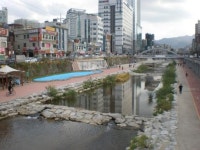 도림천 관리 전문 관리업체가 맡는다