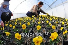 [포토] 봄으로, 봄으로