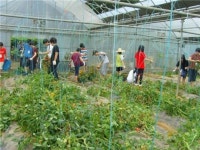 구로구, 학습-봉사-체험 등 137개 토요 프로그램 진행