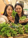 [포토] 알싸한 햇두릅 맛보세요