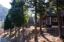 피톤치드 가득한 국내 최대 남해편백휴양림