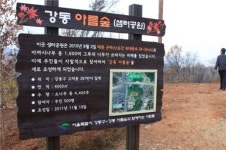 곤파스로 쓰러진 숲 2014년까지 4배 규모로 살린다