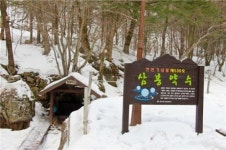 ‘1박2일’팀 머문 국립삼봉자연휴양림