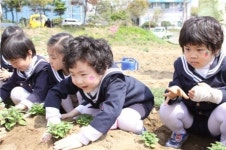 강동구, 토끼· 병아리 기르는 체험농장 개장