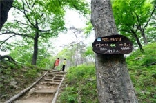 백범 가신 길, 옷깃 여미며ㆍㆍㆍ따라 걷다