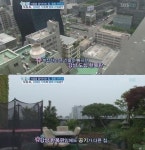 김혜은 집공개, 강남속 야외정원 힐링하우스