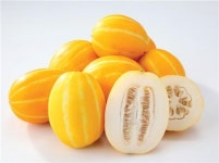 당도 높고 아삭한 新품종 조은대 참외 맛보세요