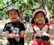 뽕 치고 누에 키우는 젊은 농부 윤성원씨