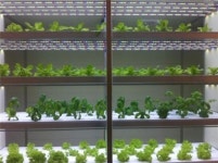 강남에 텃밭을?…래미안 강남 힐즈, 실내· 외 가든팜 제공