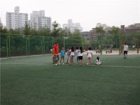 [서울스토리]서울숲~남산길 걸어보니 ...