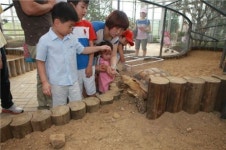 아산생태곤충원 개관…‘반딧불이 축제’ 눈길