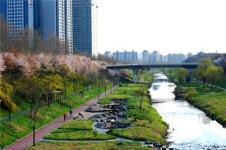 양재천과 탄천 사계를 앵글속으로...