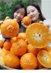 [포토]충주산 유기농 탄금향 맛보세요