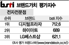 [그래픽뉴스]디지털프라자, 전자전문점 브랜드 1위