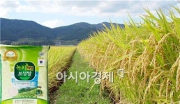 녹차미인 보성쌀, 대한민국 1등 쌀로 자리매김