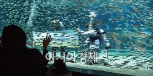 [포토]바다속 친구들의 새해 인사