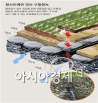완도 구들장논, 전국 최초 ‘국가농업유산으로’