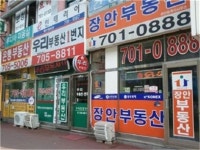 개점휴업 서울 부동산중개업소 이럴수가