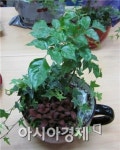 여수시, ‘도시민 녹색생활 원예교실’ 교육생 모집