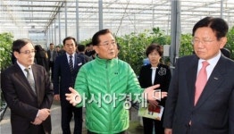 [포토]파프리카 농장에서 대화하는 박준영 전남지사