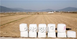 보성군, 친환경유기질비료 농가 지원