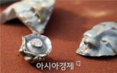 강진군 용혈암지, 고려청자 성지의 위상 드러냈다.