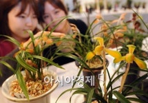 [포토]제28회 한국춘란전시회 개막