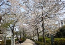 서울시, 기업·시민단체와 함께 초록숲길 만든다