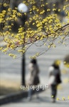 [포토]봄이 오는 길목으로···