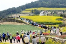 [남도 힐링여행]청산도에서 느림의 미학 즐겨볼까?