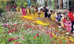 [포토]나비야 나와같이 놀자