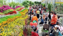 [남도힐링여행] 함평으로 나비 보러 오세요