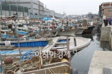 “신선한 수산물 화수부두로 오세요~”