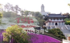 [포토]백제불교 최초 도래지에 핀 불심(佛心)