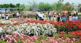 [남도 힐링 여행] 곡성 기차마을 추억여행 4선