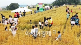 구례 우리밀 축제  성료