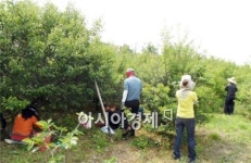 구례군, 영농기 농촌 일손돕기 대대적 추진