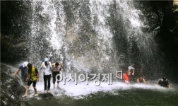 구례 수락폭포, 산소음이온 전남 최대