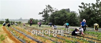 정읍시 신태인읍, 이웃과 함께 사랑 나눔 희망 더하기 봉사활동 실시