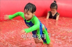 [포토]토마토 풀장으로 점프!