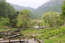 네비게이션 휴양림 안내 오류 잡아준다