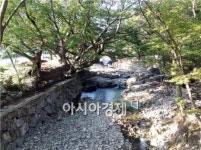 [남도힐링여행]야호~ 여름이다!, 순천 휴가 여행  7선