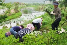 보성군 복내면 주암호생태습지 환경정화활동 실시