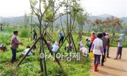 보성군 복내면 주암호생태습지 환경정화활동 실시