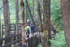 남원시 덕음산 솔바람길, 시민의 휴식처로 거듭나