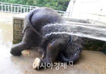 “안전한 물놀이·알뜰 피서는 우치공원에서”